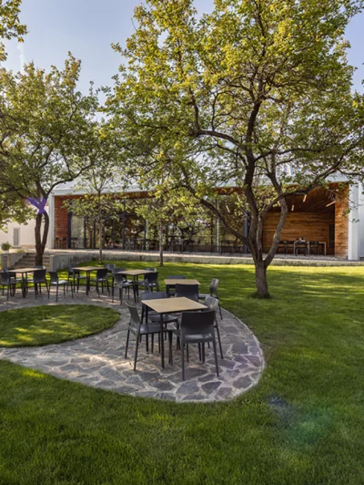 Vinařství Starý vrch