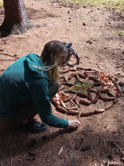 Lesní lázeň - shinrin yoku