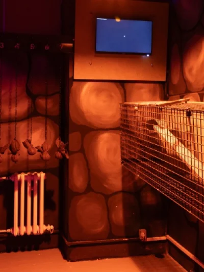 Akční týmová hra